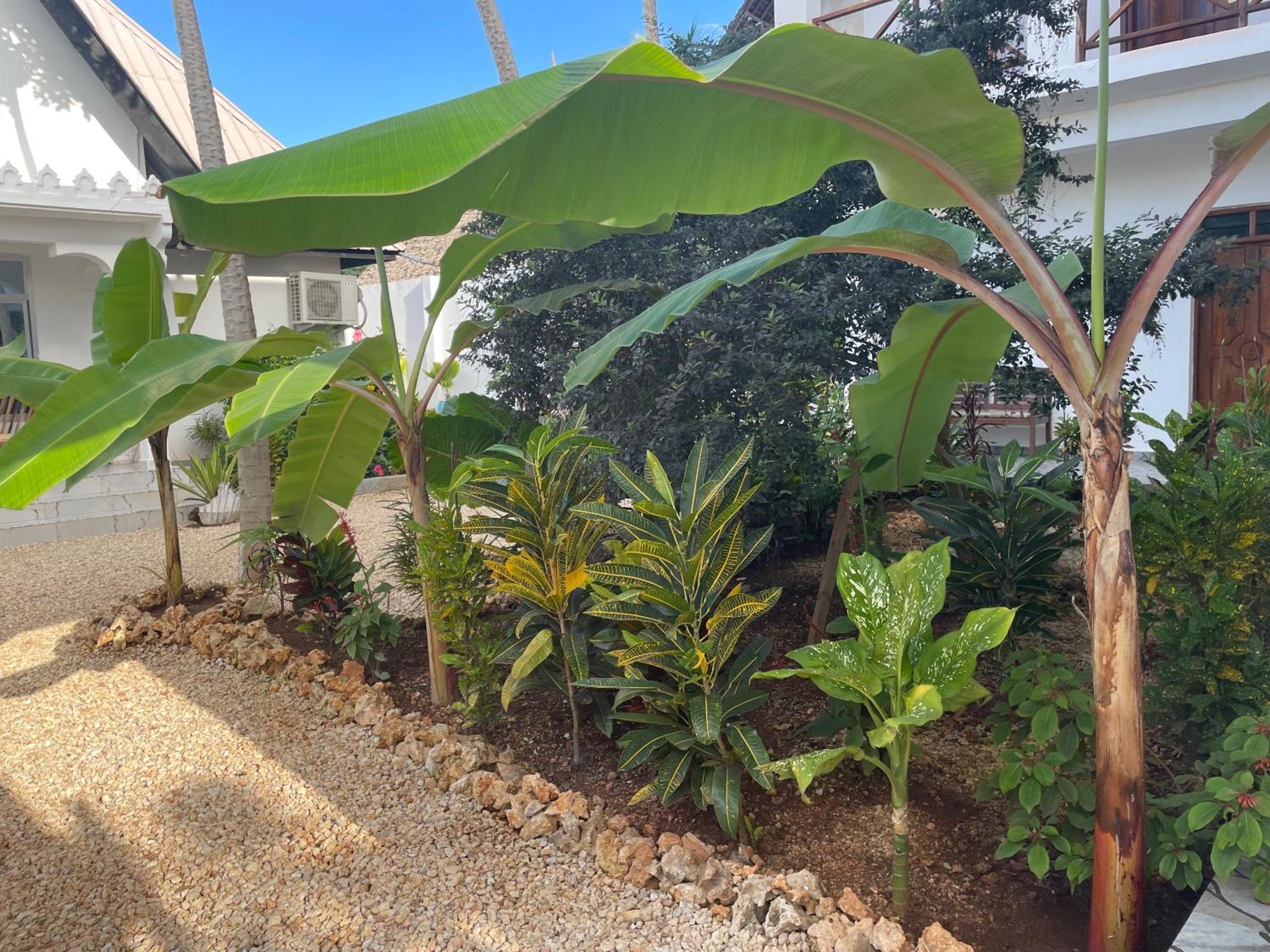 Daniel Zanzibar Hotel Nungwi Dış mekan fotoğraf